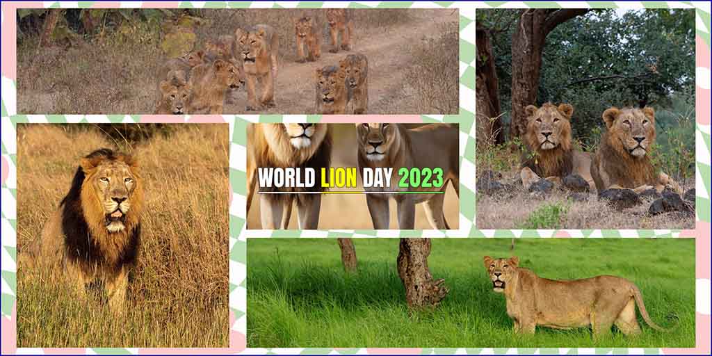 PM lauds all those working towards protecting the habitat of lions on occasion of World Lion Day