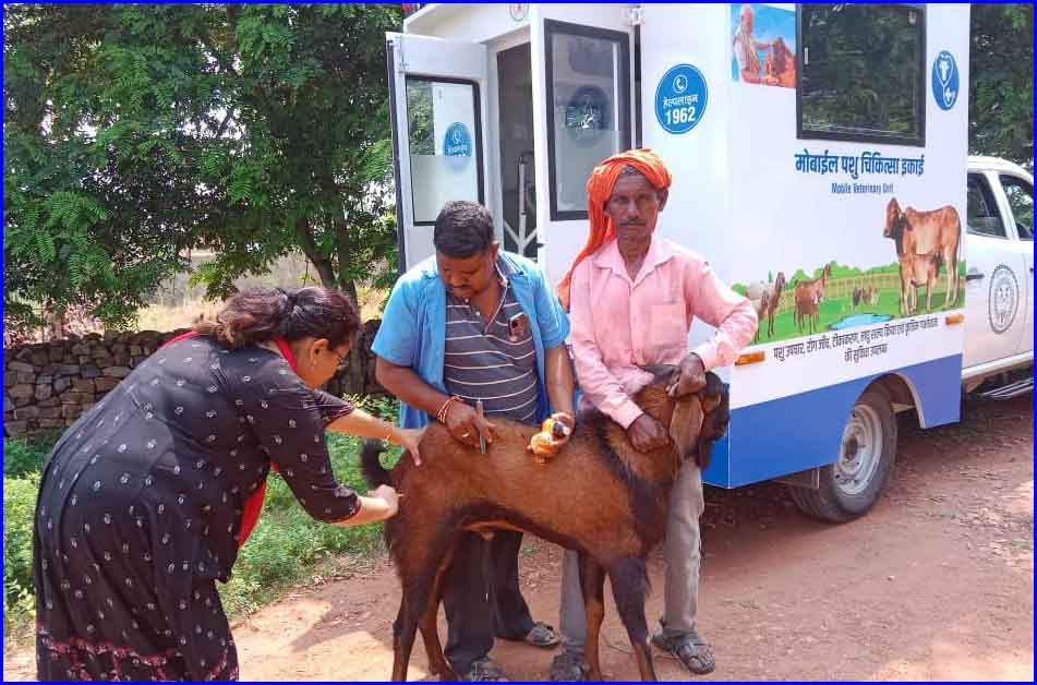 राज्य में मोबाइल पशु चिकित्सा यूनिट के जरिए पशुधन के इलाज की घर पहुंच सेवा